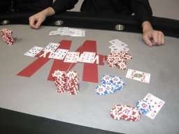 ahpt_2010_12_29_116