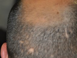 ahpt_2011_04_23_162